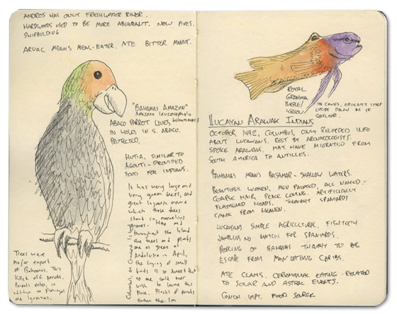 Lucayan Arawak Sketch