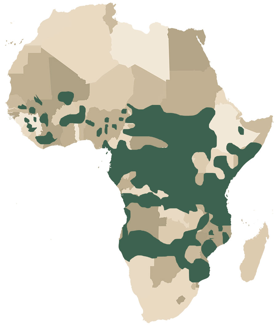 Africa National Park Map