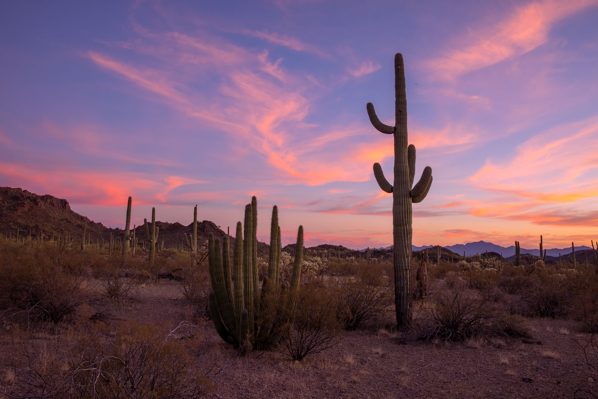 Ajo Mountain Drive, Organ Pipe Cactus National Monument