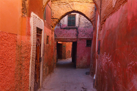 Majorelle Gardens in the Dry World