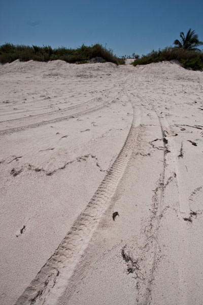 Bakers Bay vehicles on green turtle nesting grounds
