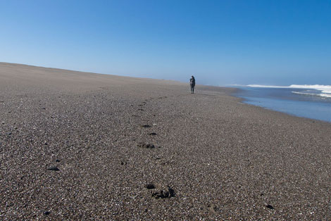 Bandon to Port Orford