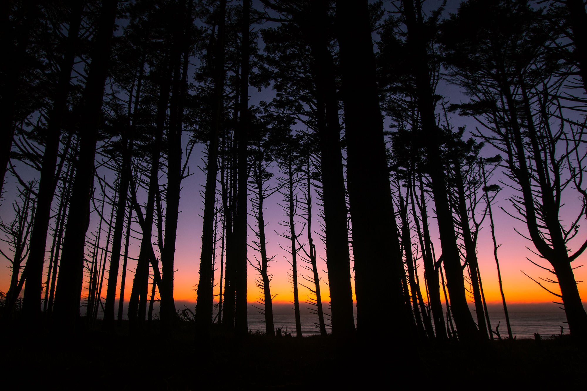 Backpacking the Bandon-Port Orford Trail