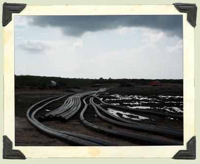 Honorable Hubert Ingraham listens to Troy Albury under the Fig Tree.