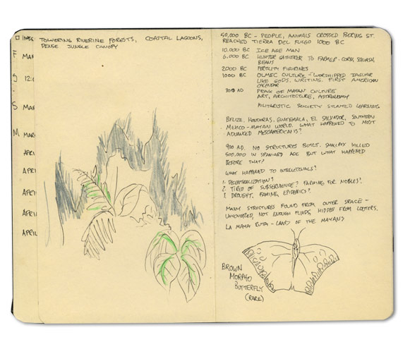 Belize Moleskine Journal Sketches