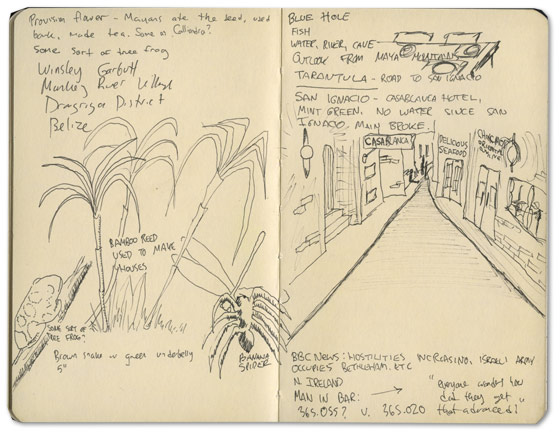 Bamboo Moleskine Sketch from Belize