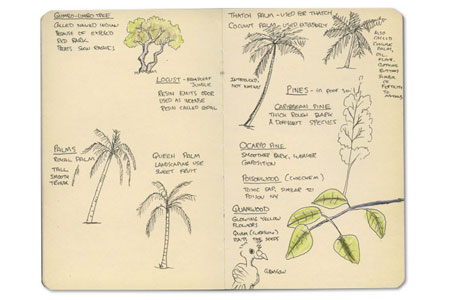 Moleskine Sketch Journal from Belize