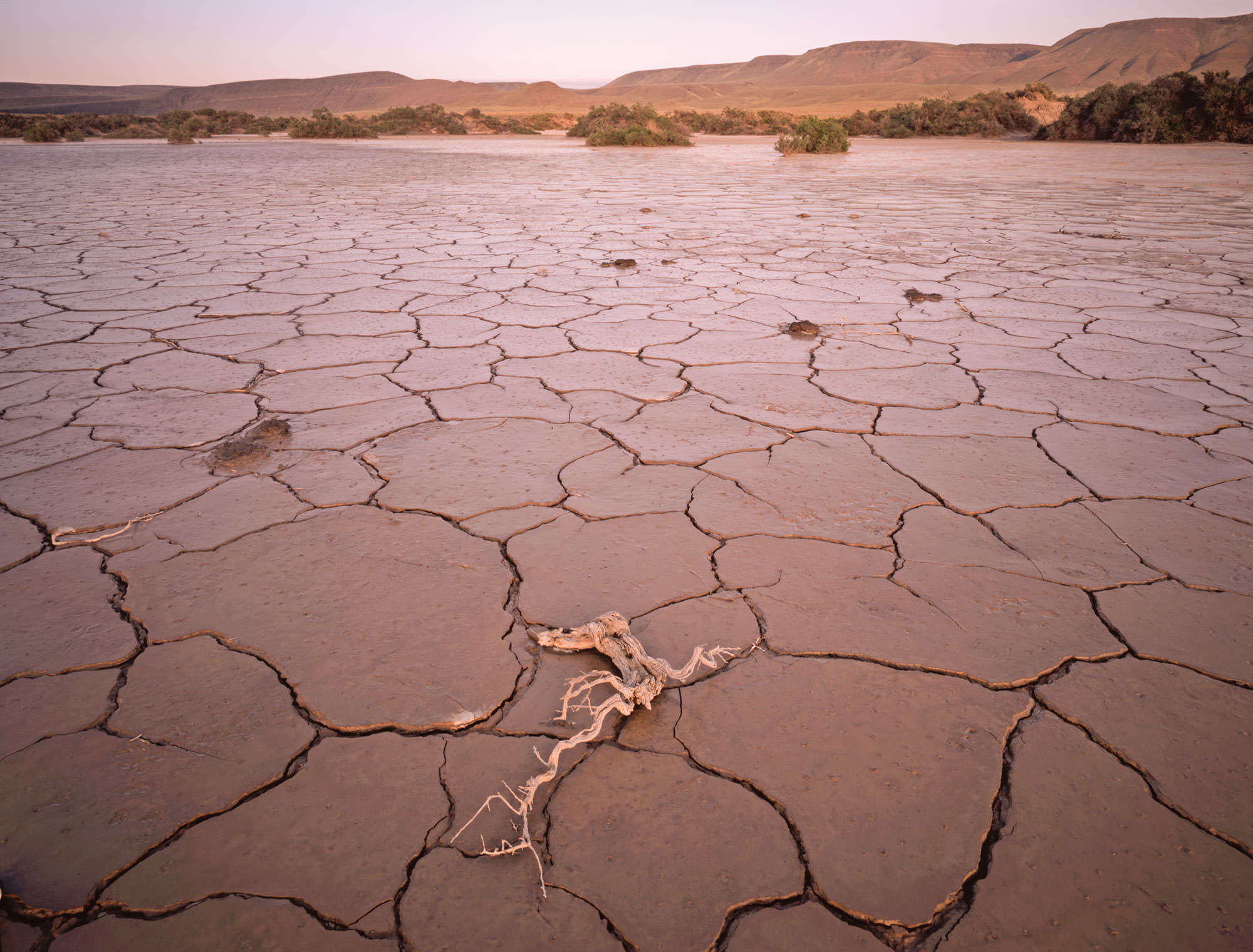 The Alvord Desert