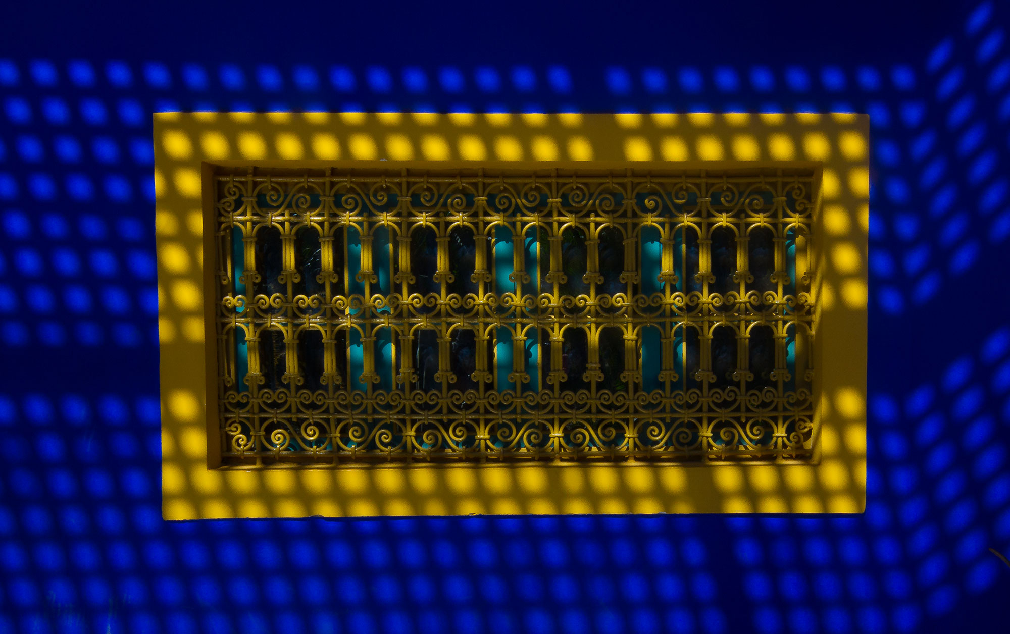 Majorelle Gardens, Marrakech