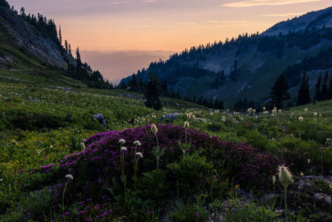 Cispus Basin in the Goat Rocks Wilderness