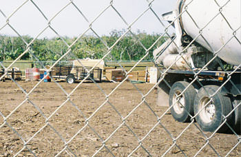 Construction site at Bakers Bay reveals the death of mangroves