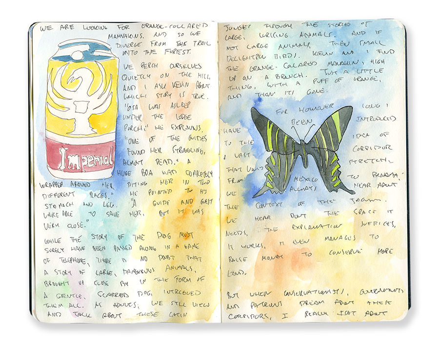 Sketch of Costa Rican Beer