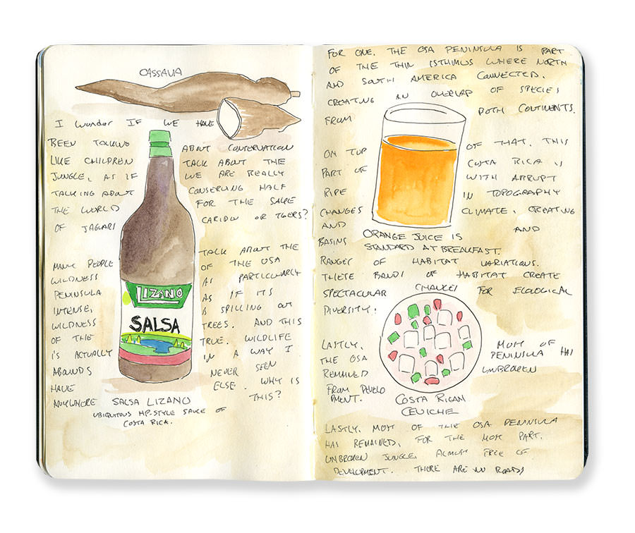 Costa Rica Food Sketch
