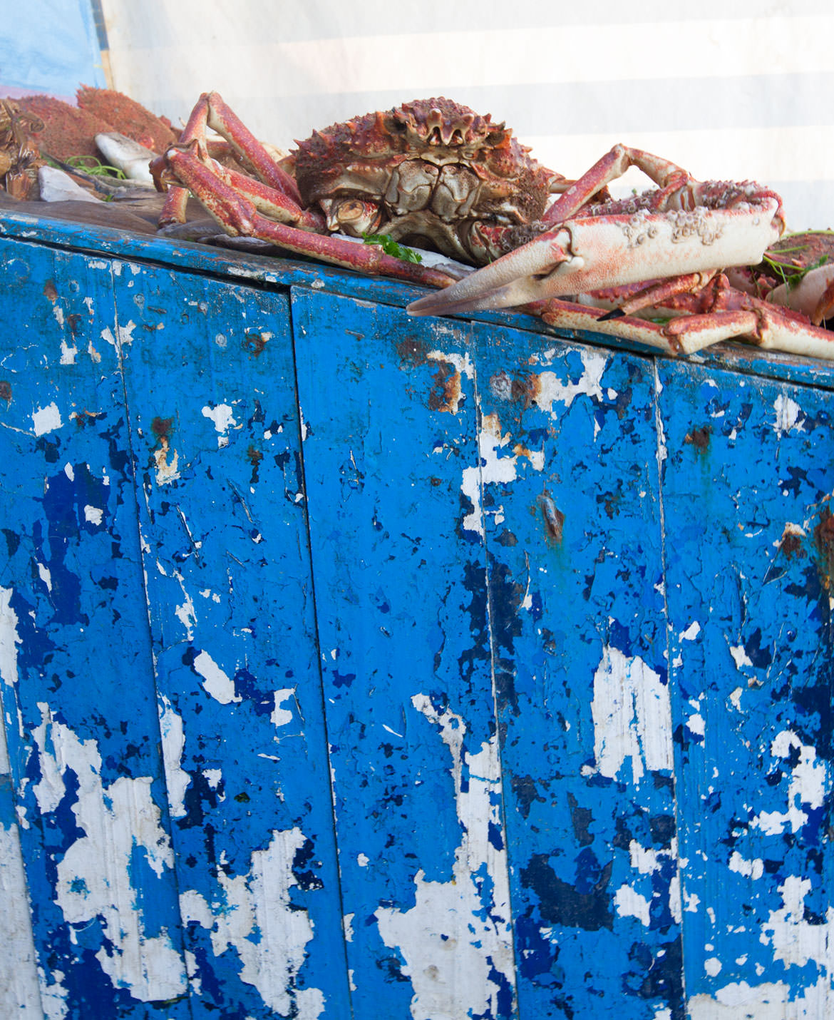 Crab for Lunch in Essaouira