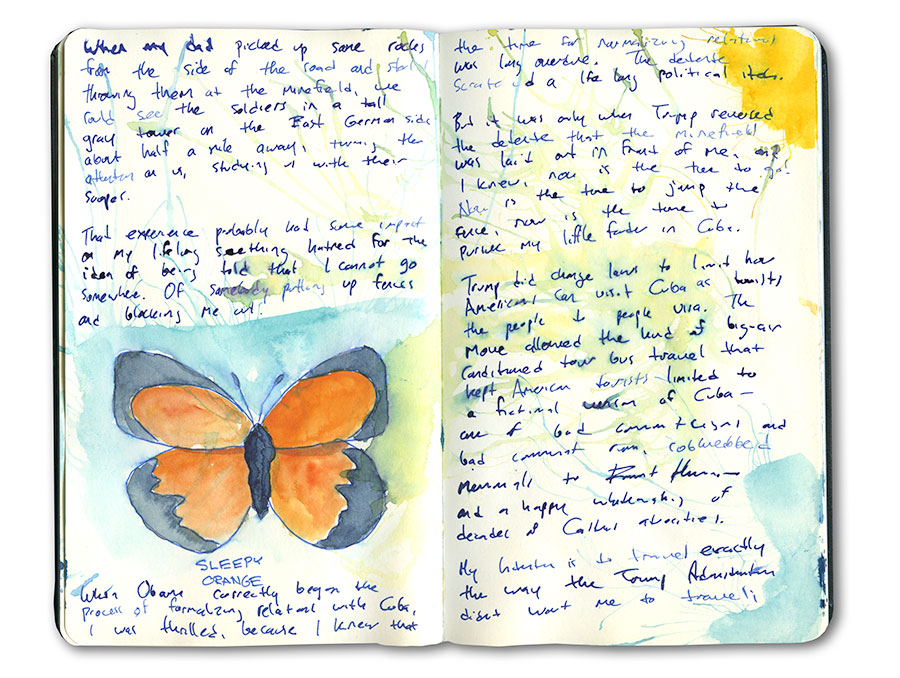 Butterfly Sketch from Cuba