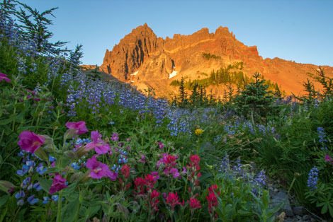 Dark Divide Roadless Area