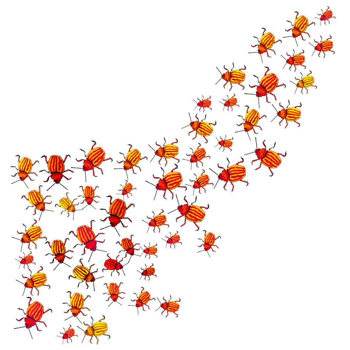 Erik Gauger calls out Darren Bearson