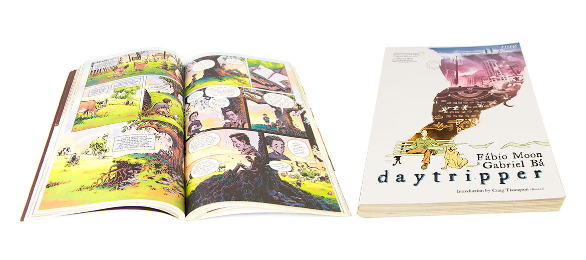 Daytripper Graphic Novel