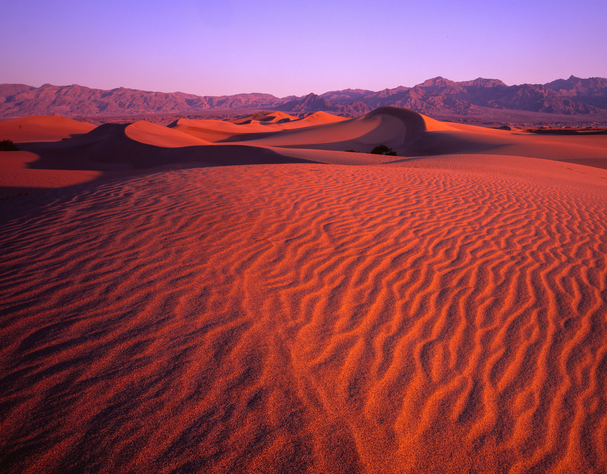 Mesquite Dunes, Death Valley, California