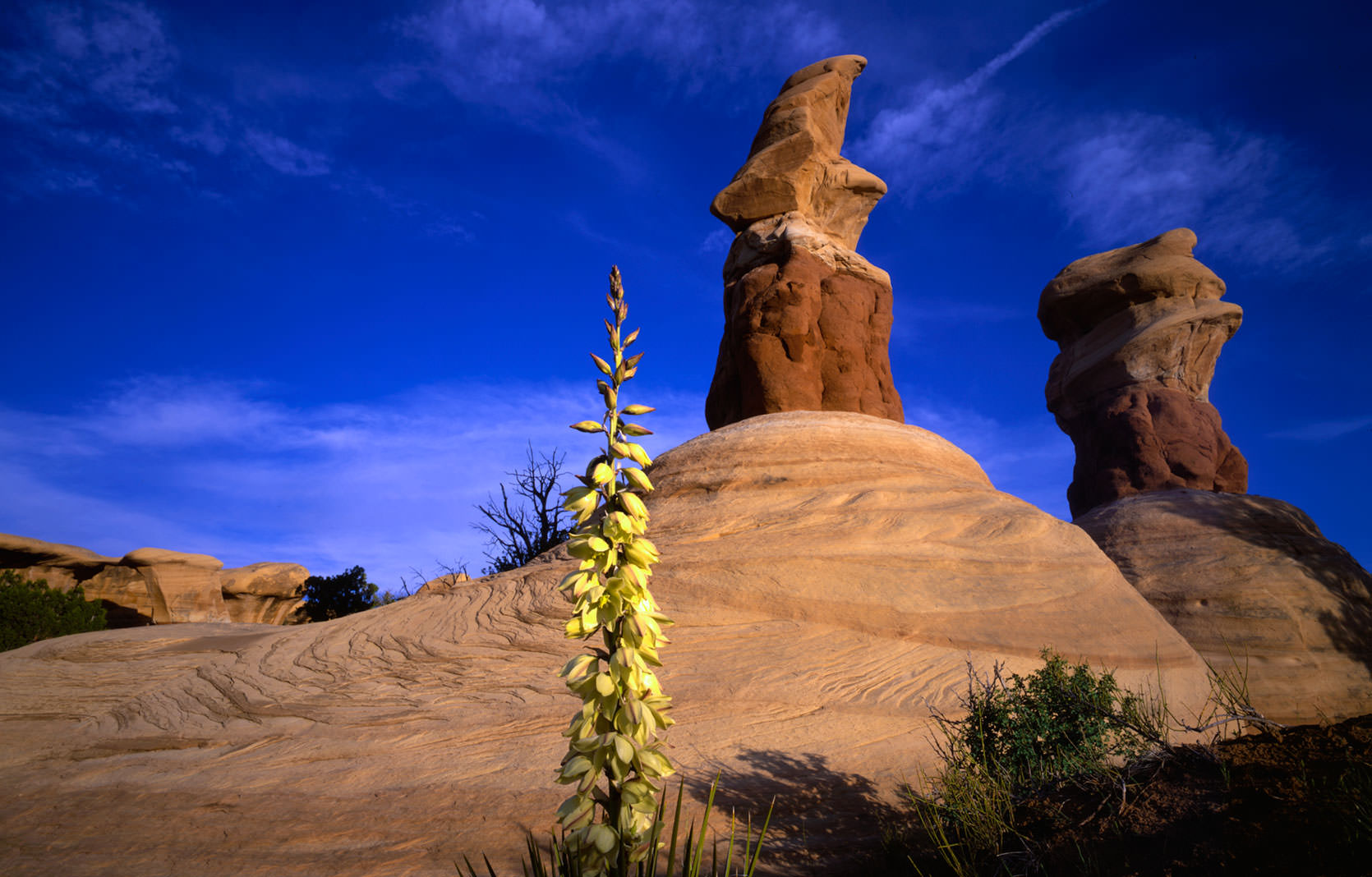 Devil's Playground Spires