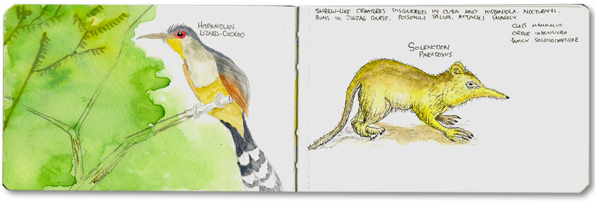 Dominican Republic Moleskine Sketch
