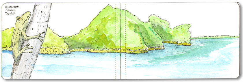 Sketch of the mangroves area in Dominican Republic
