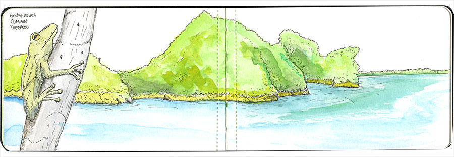 Dominican Republic watercolor sketch