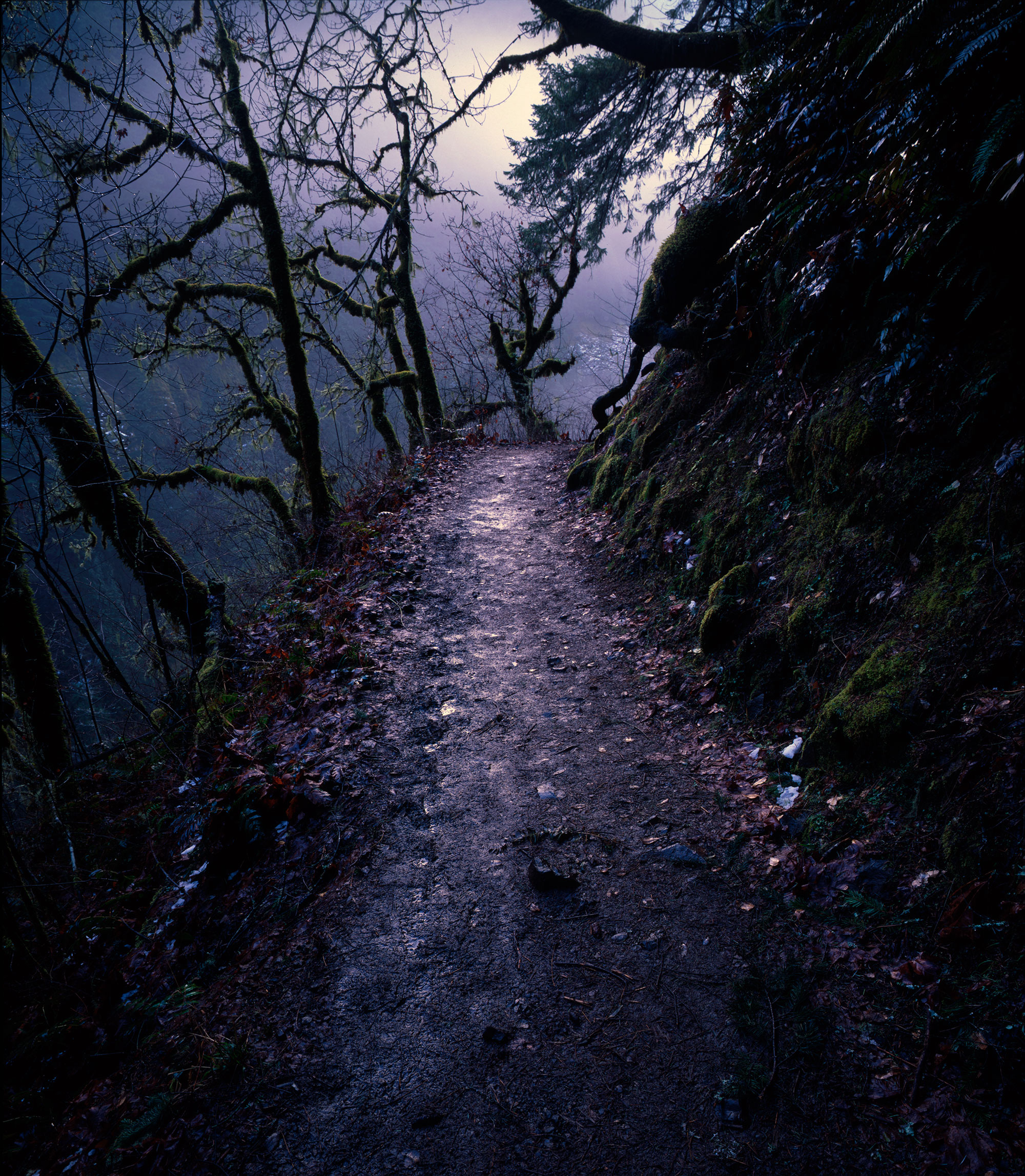 Image of the Eagle Creek Trail in the Columbia River Gorge, within the vicinity of Portland, Oregon.