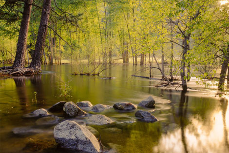 El Capitan Rock, Yosemite National Park
