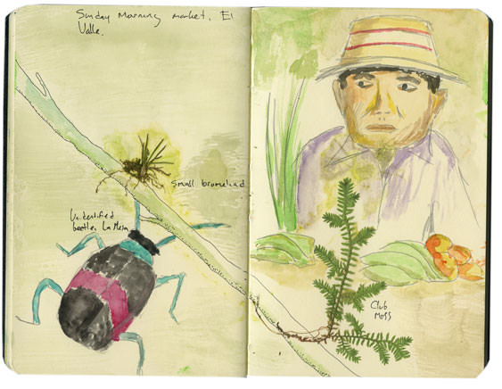 Man in El Valle Moleskine Sketch