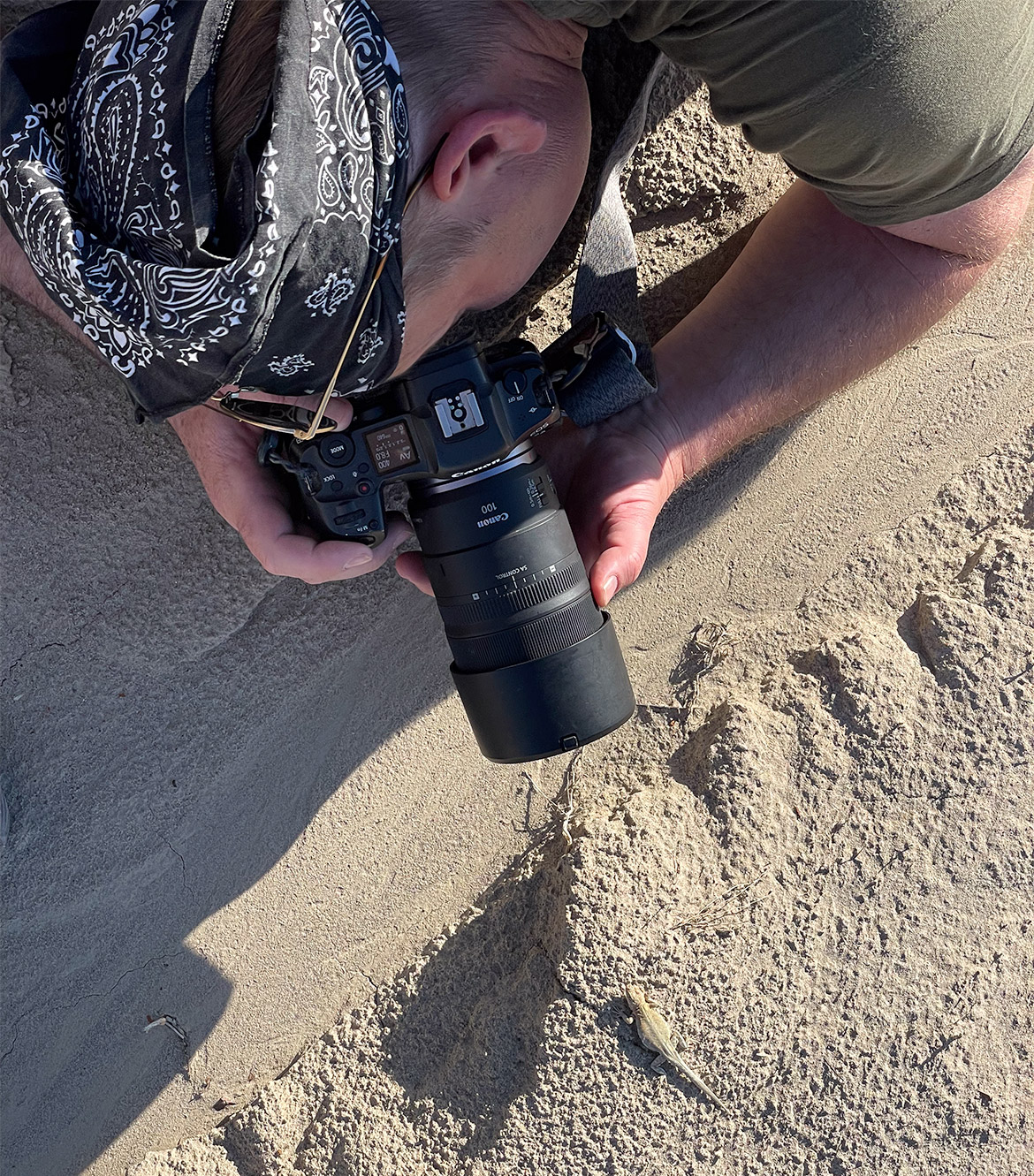 Erik Gauger lies on sandy ground in the Bisti Badlands, holding a Canon camera with a macro lens close to a small lizard. He wears a dark bandana and green shirt, focused on capturing a close-up shot.