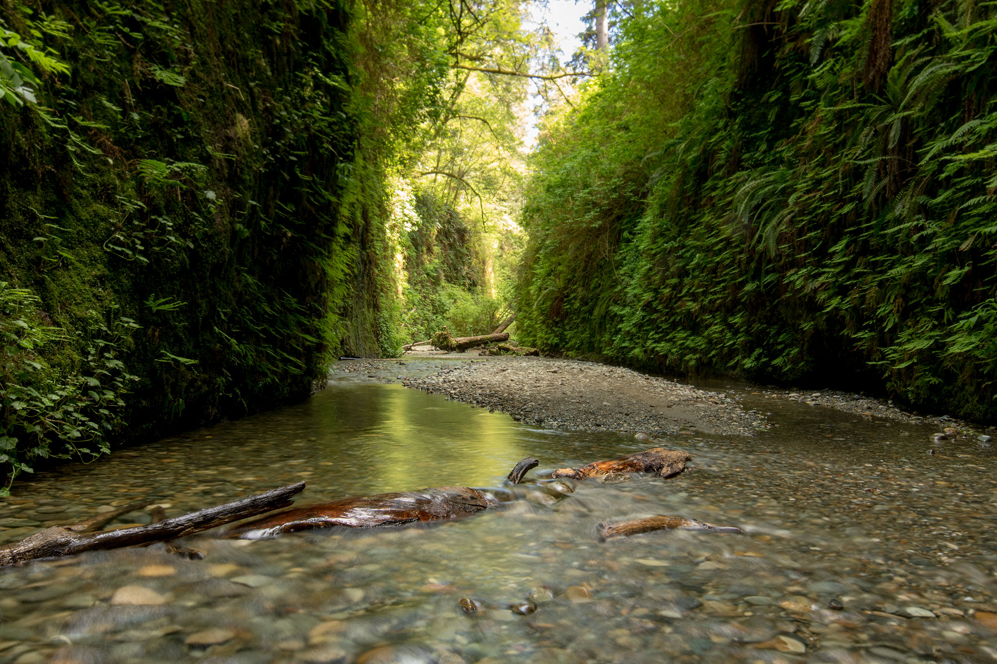 Jefferson Park via the Park Ridge Trail