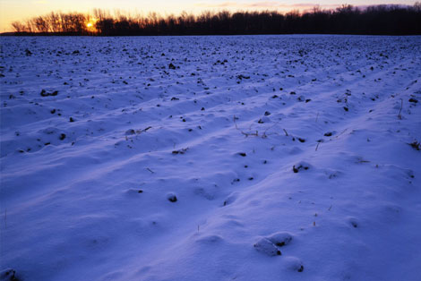 Flyfishing in Minnetonka