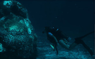 Global Coral team examines the reef