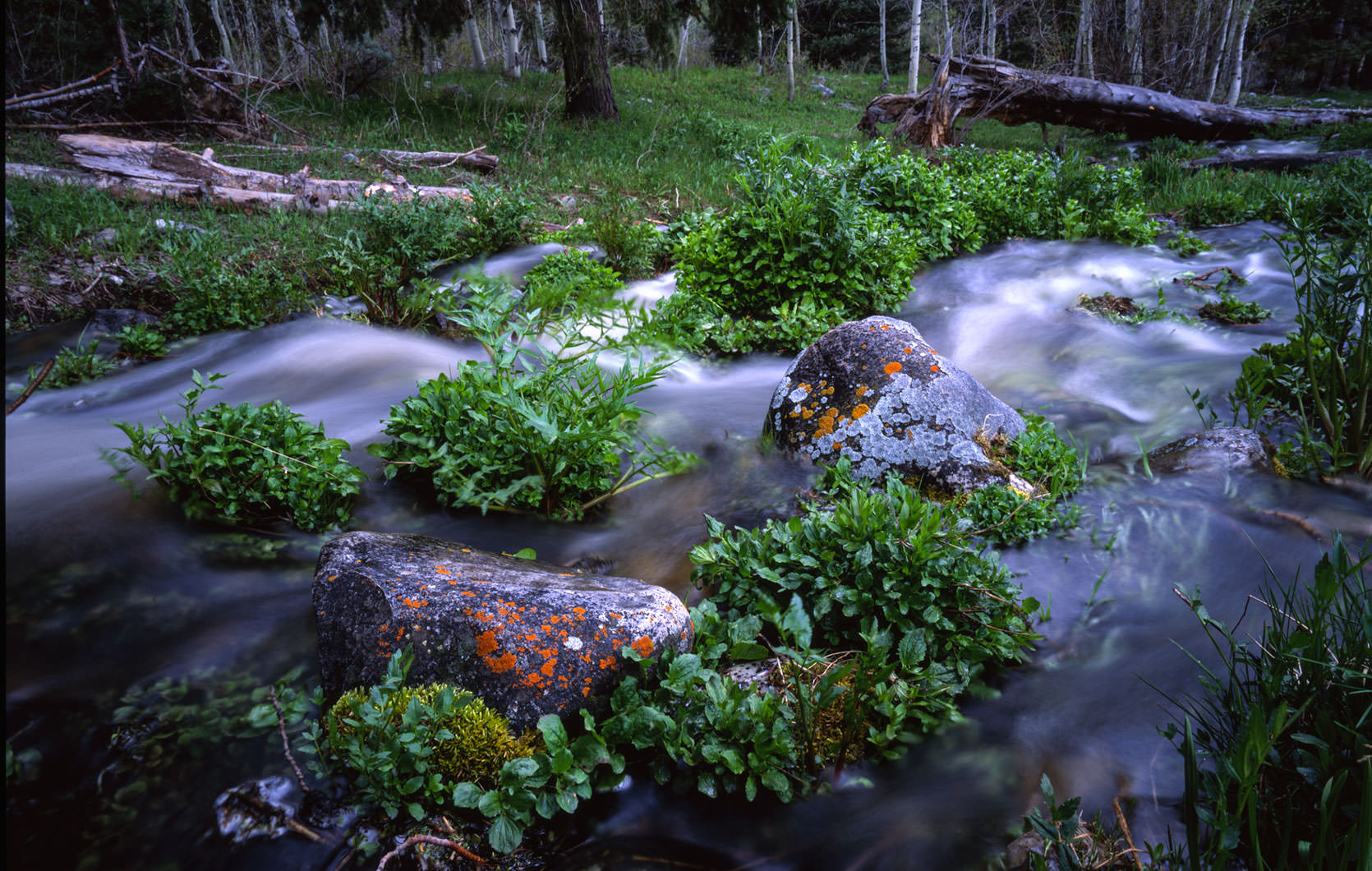 Great Basin National Park