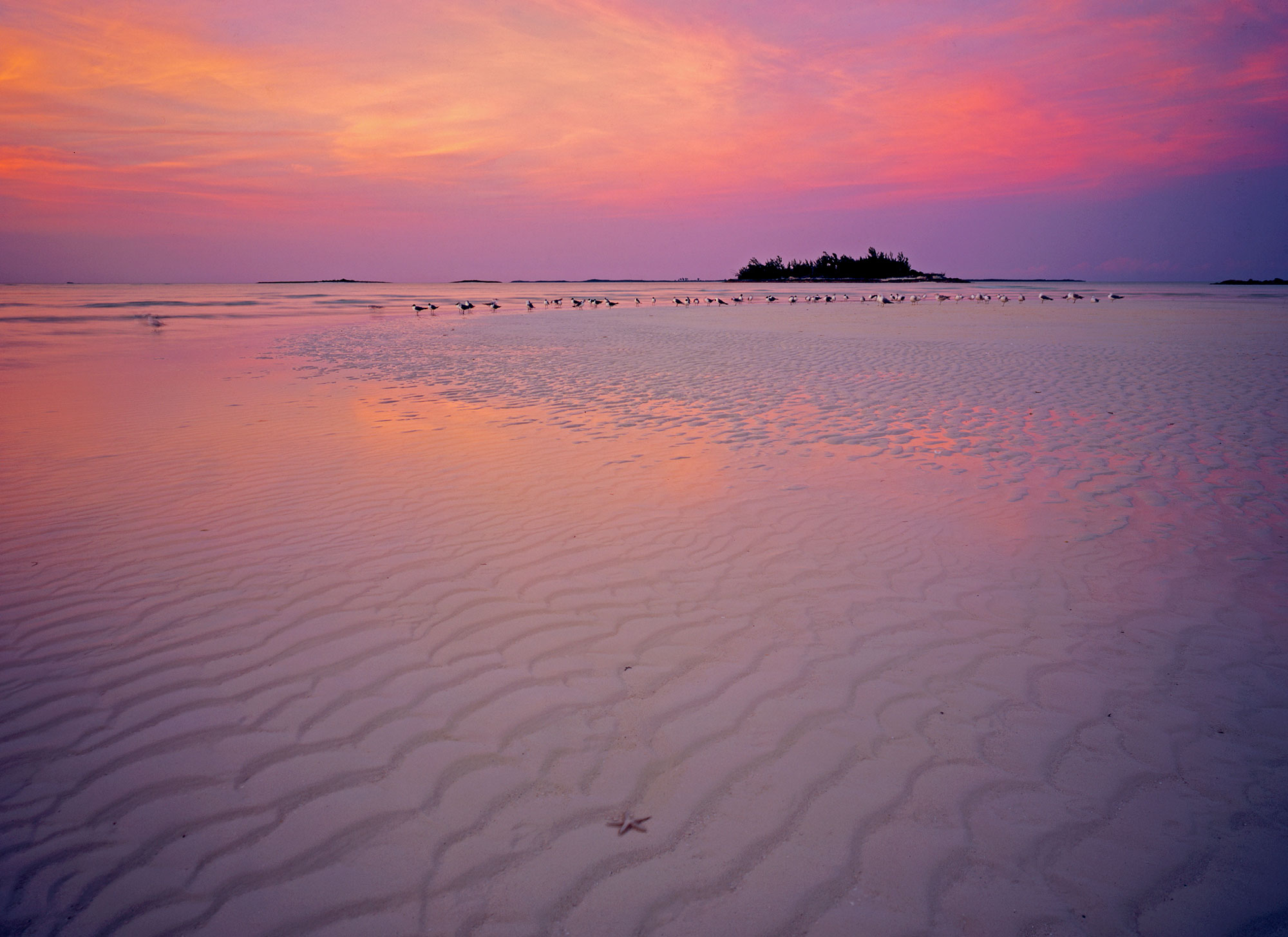 Guana Cay and the Eyes of the West Indies