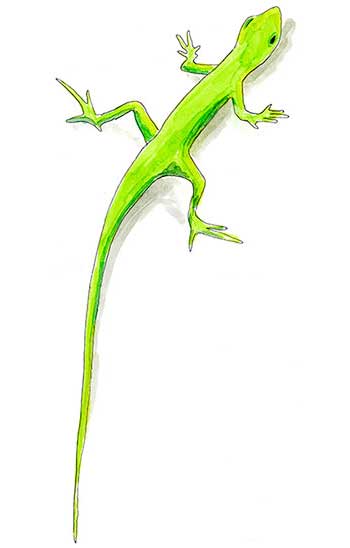 Castellammare del Golfo Sketch