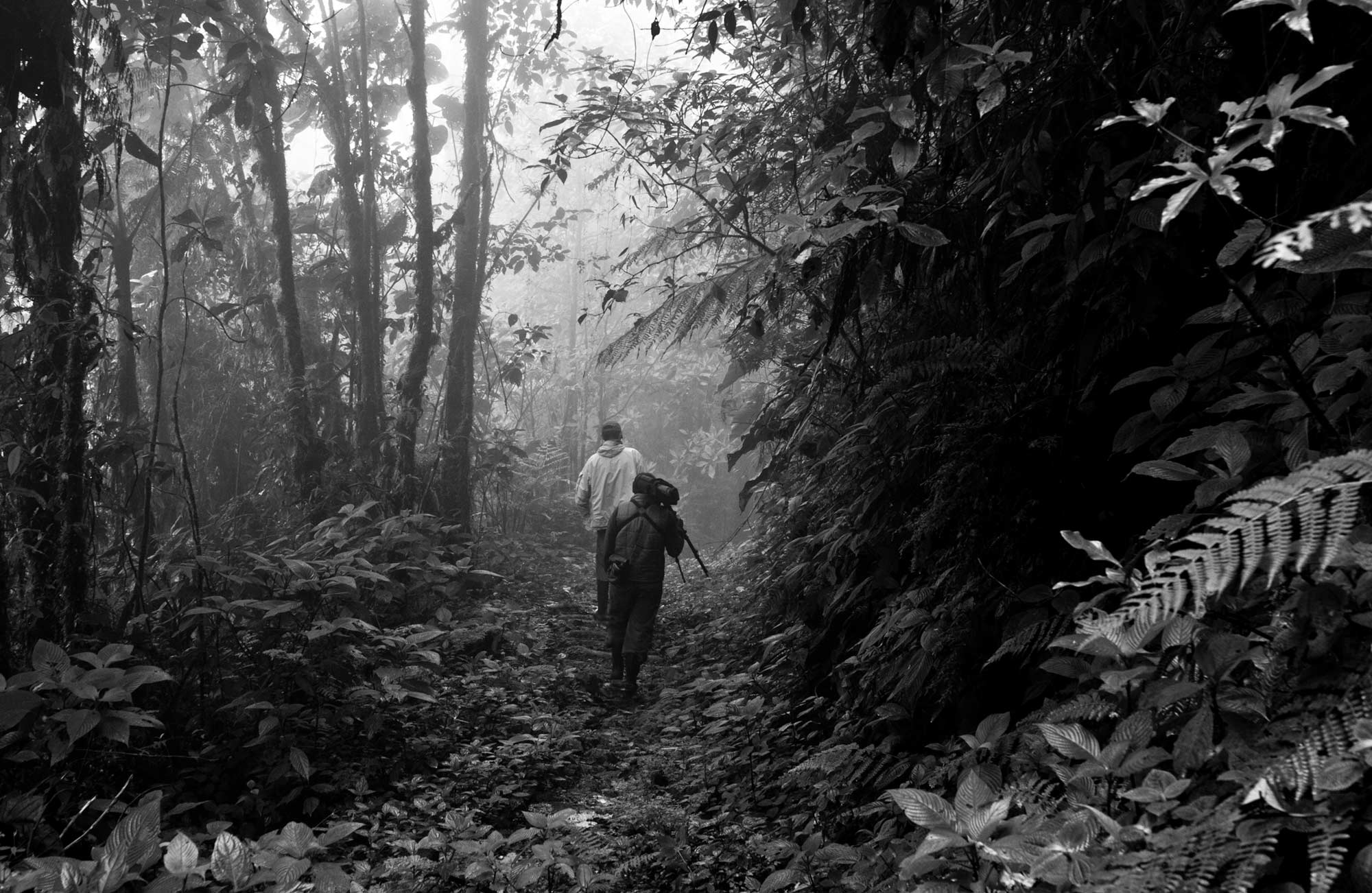 Guacamayos Ridge Trail