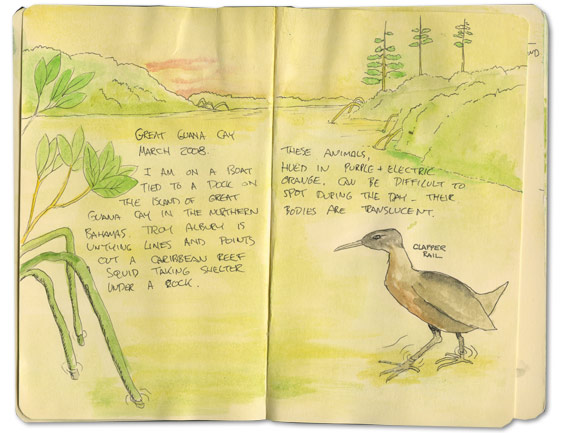 Guana Moleskine Notes