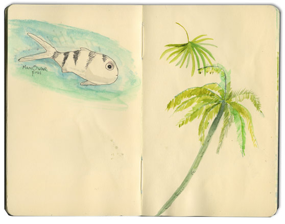 Drawings from Guana Cay