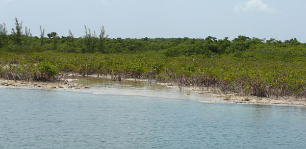 Bakers Bay Site