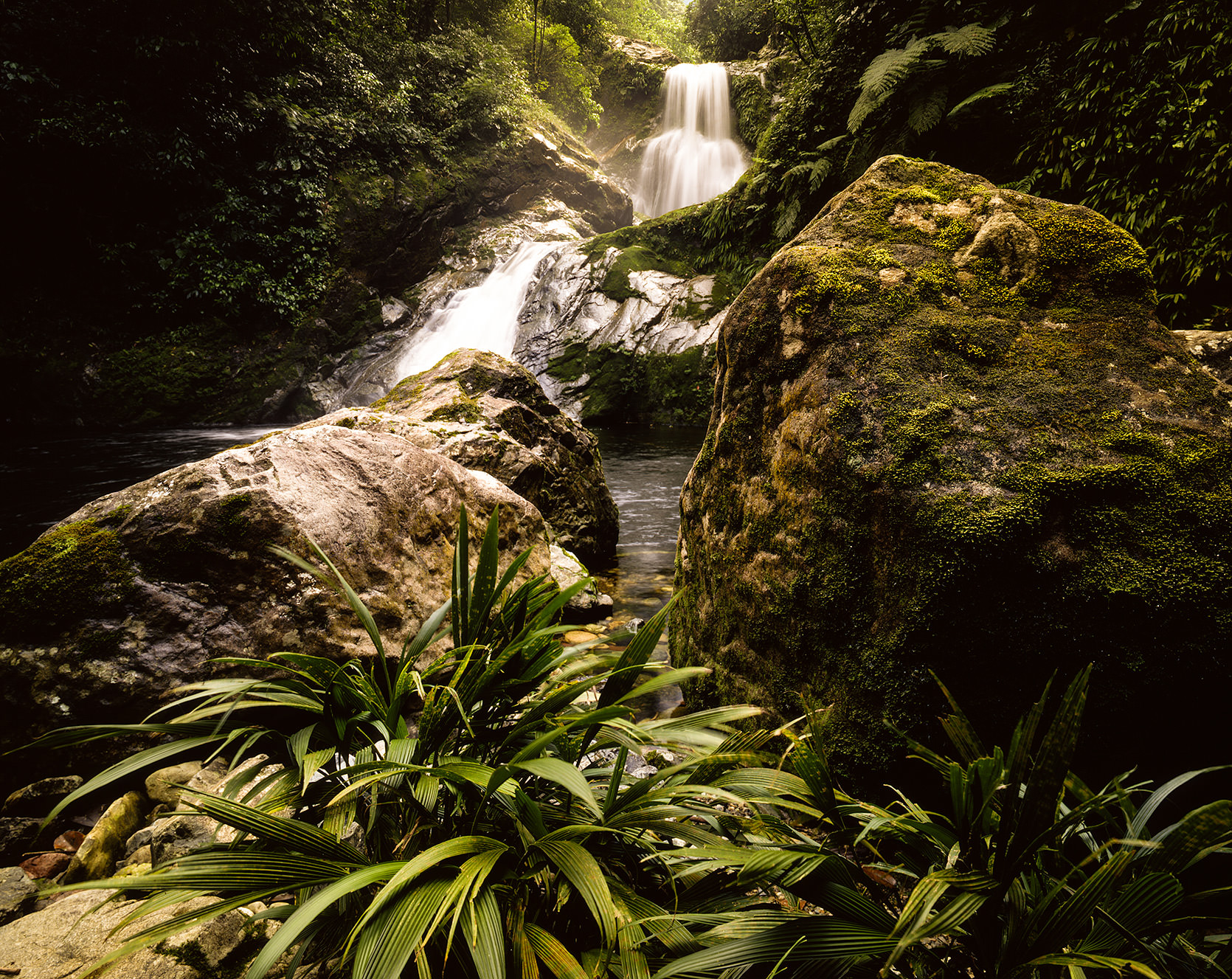 Beautiful waterfall in the Pico Bonito National Park in Honduras.