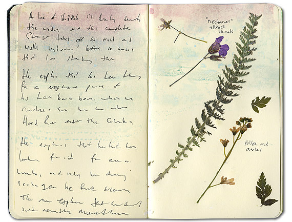 Mount Hood Sketchbook