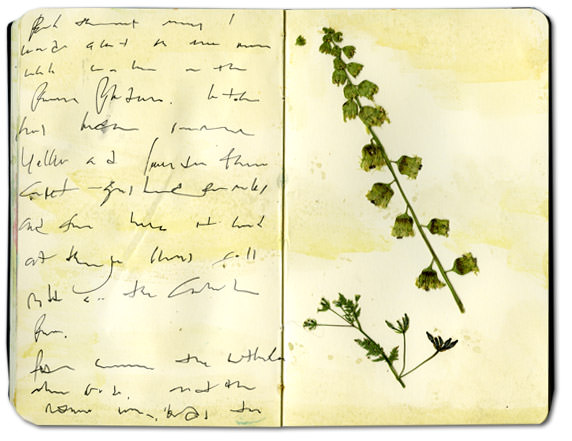 Making a Journal with flowers