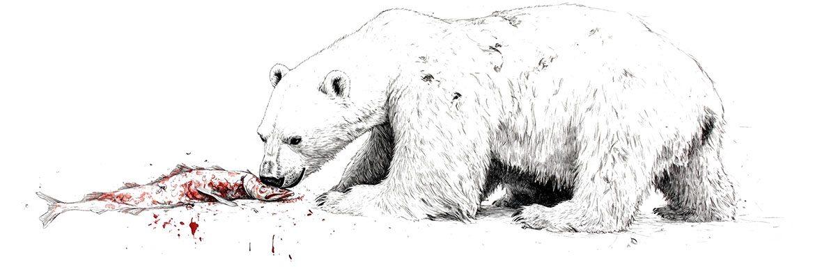 Protecting migrating birds at the Minnesota Vikings Stadium