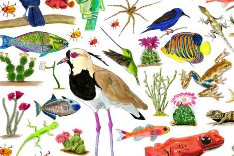 Katie Tubb of the Heritage Foundation