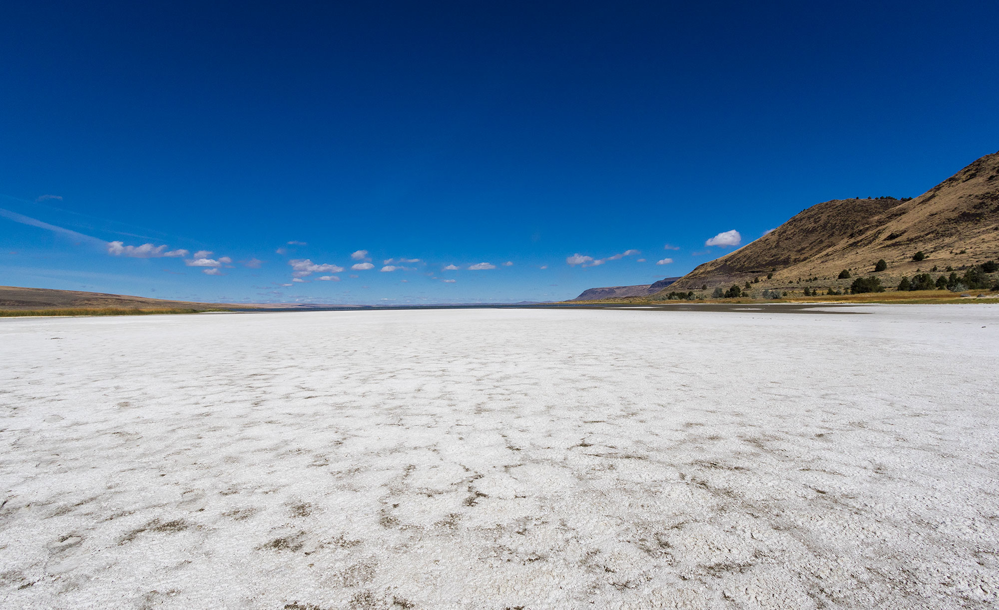 Alkali shore on Lake Abert, Oregon