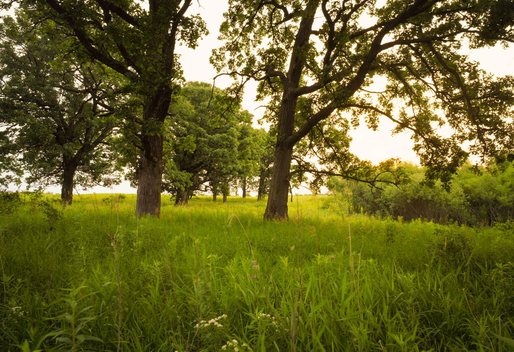Lake Minnetonka area, Minnesota