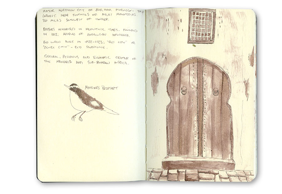 Moussier's Redstart and Red Door Sketch