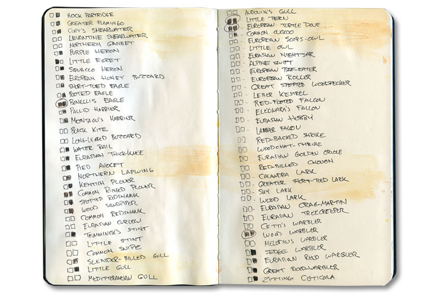 Marrakech Journal: Moroccan Instruments